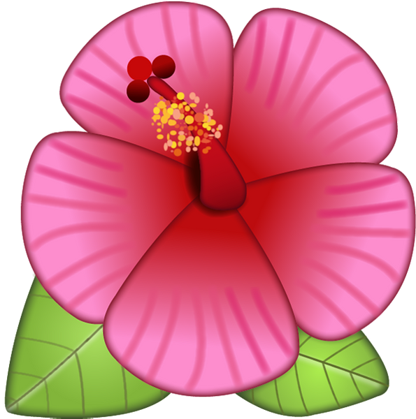Hibiscus Flower Emoji Image In