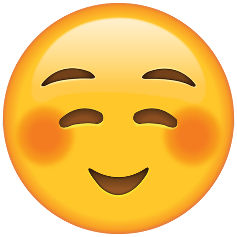 download shyly smiling face emoji Icon