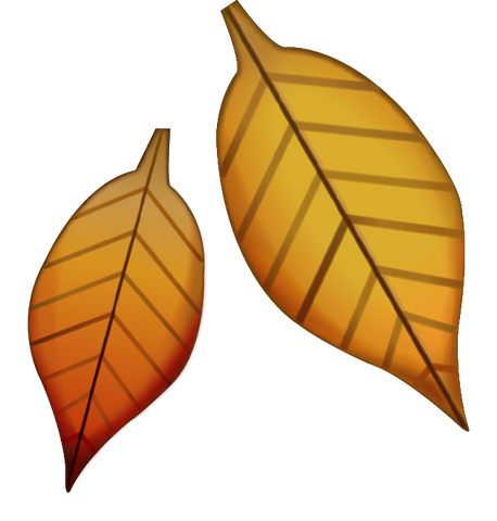 Download Fallen Leaf Emoji PNG