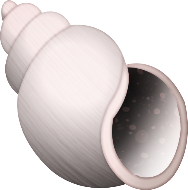Spiral Shell Emoji