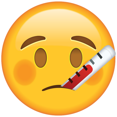 download face with thermometer emoji icon