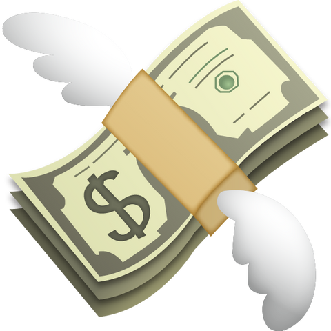 download money with wings emoji Icon