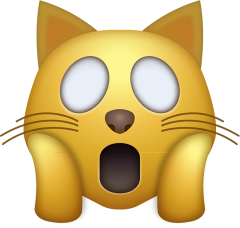 OMG Cat Emoji [Download OMG Cat Emoji in PNG]