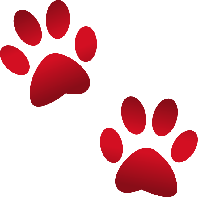Paw Emoji