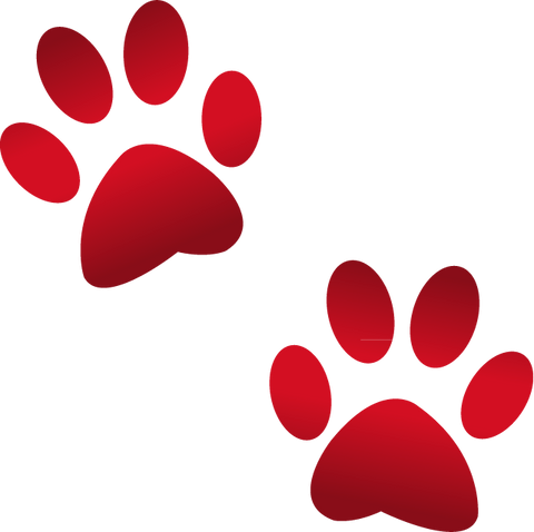 Download Paw Emoji PNG