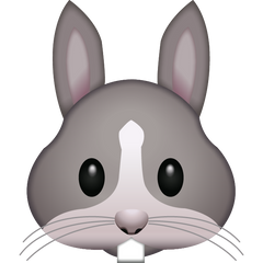 Rabbit Face top Emoji