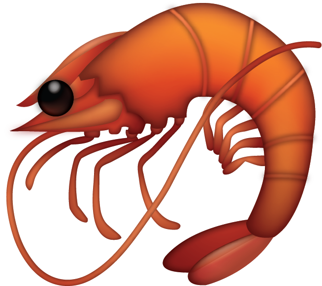 Shrimp Emoji [Free Download IOS Emojis]